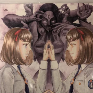 persona1 psp vinyl 1